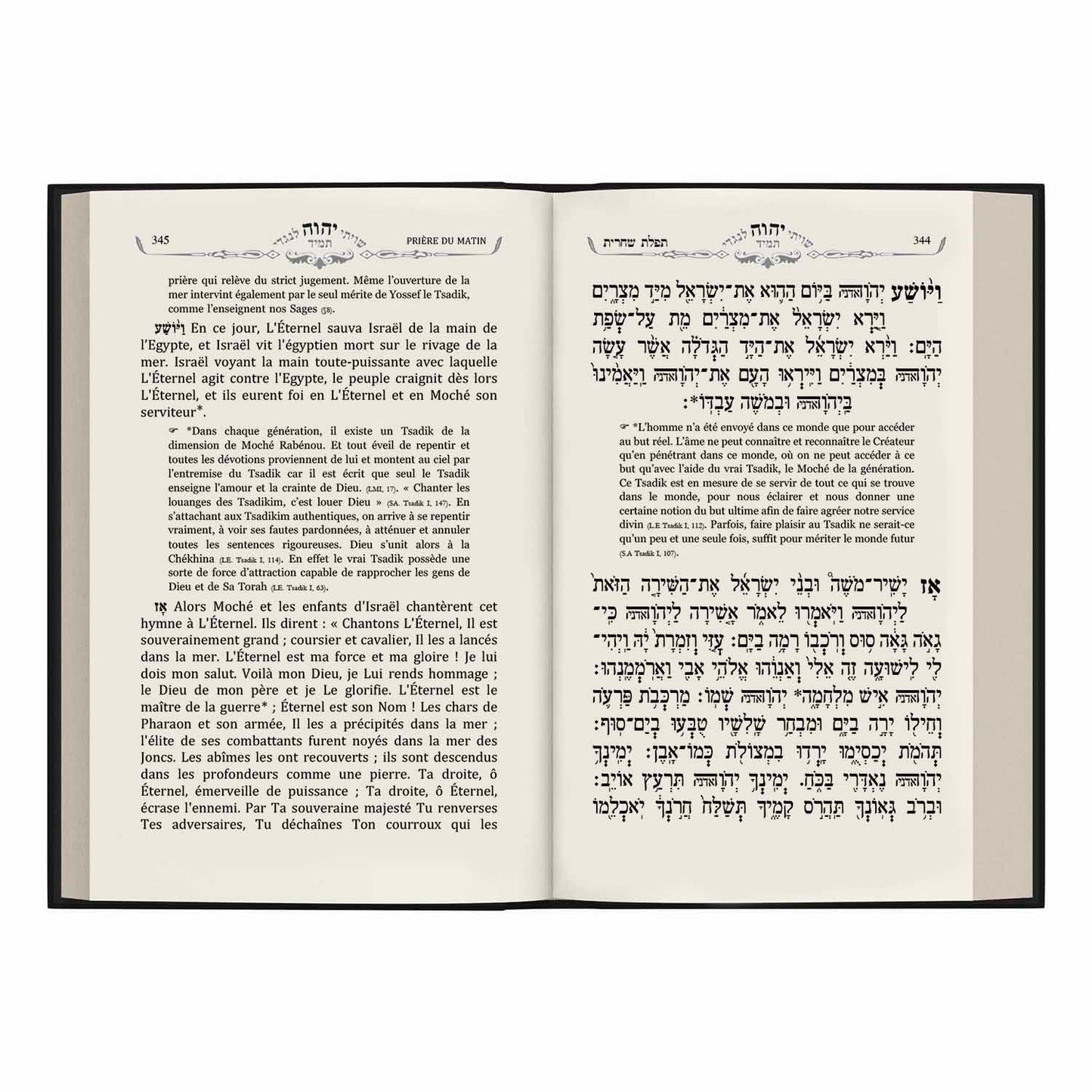 Pack Pourim / Pessah, Tikoun Aolam