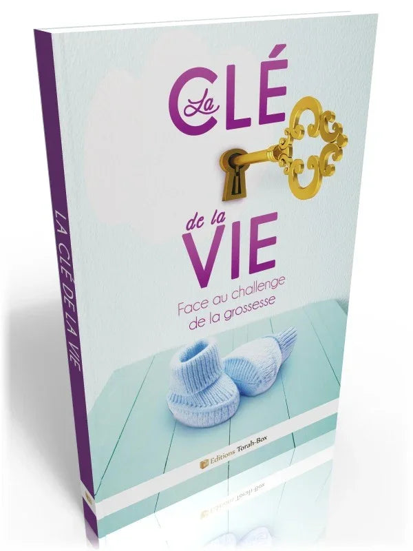 Couverture du livre La Clé de la Vie, avec une clé dorée et chaussons bébés bleus, sur le thème de la grossesse