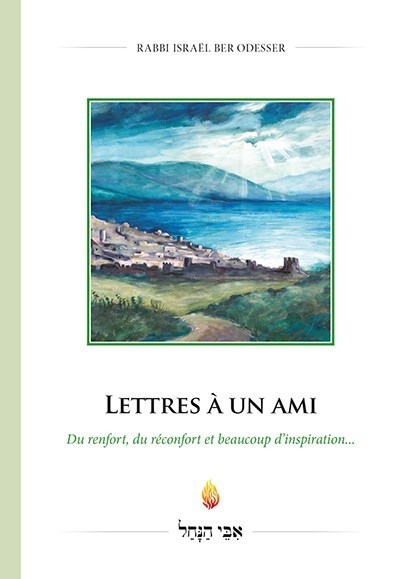 LETTRES A UN AMI