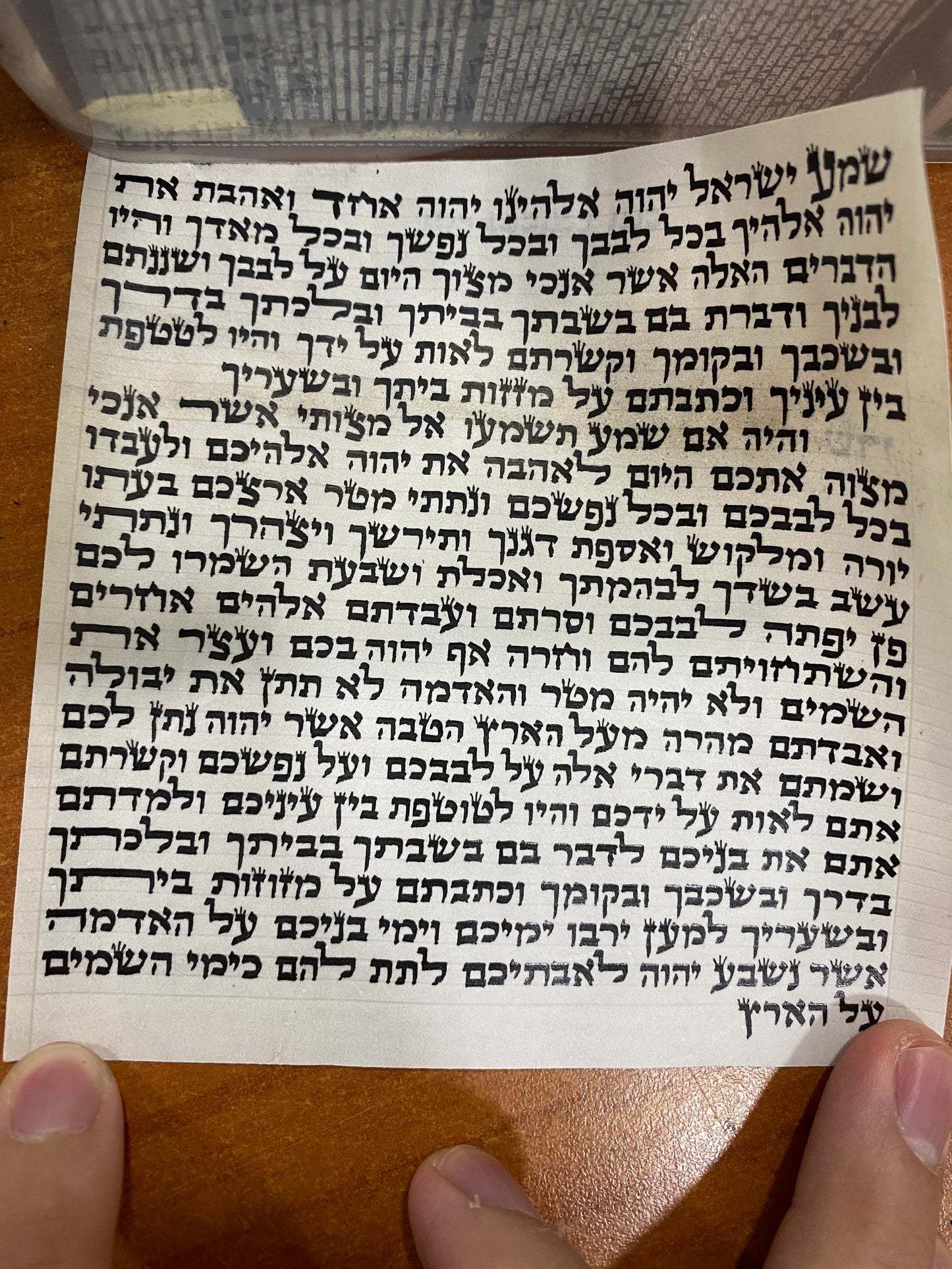 Parchemin de mézouza 12cm avec boîtier Cacher Lamehadrin - Bayit Tova