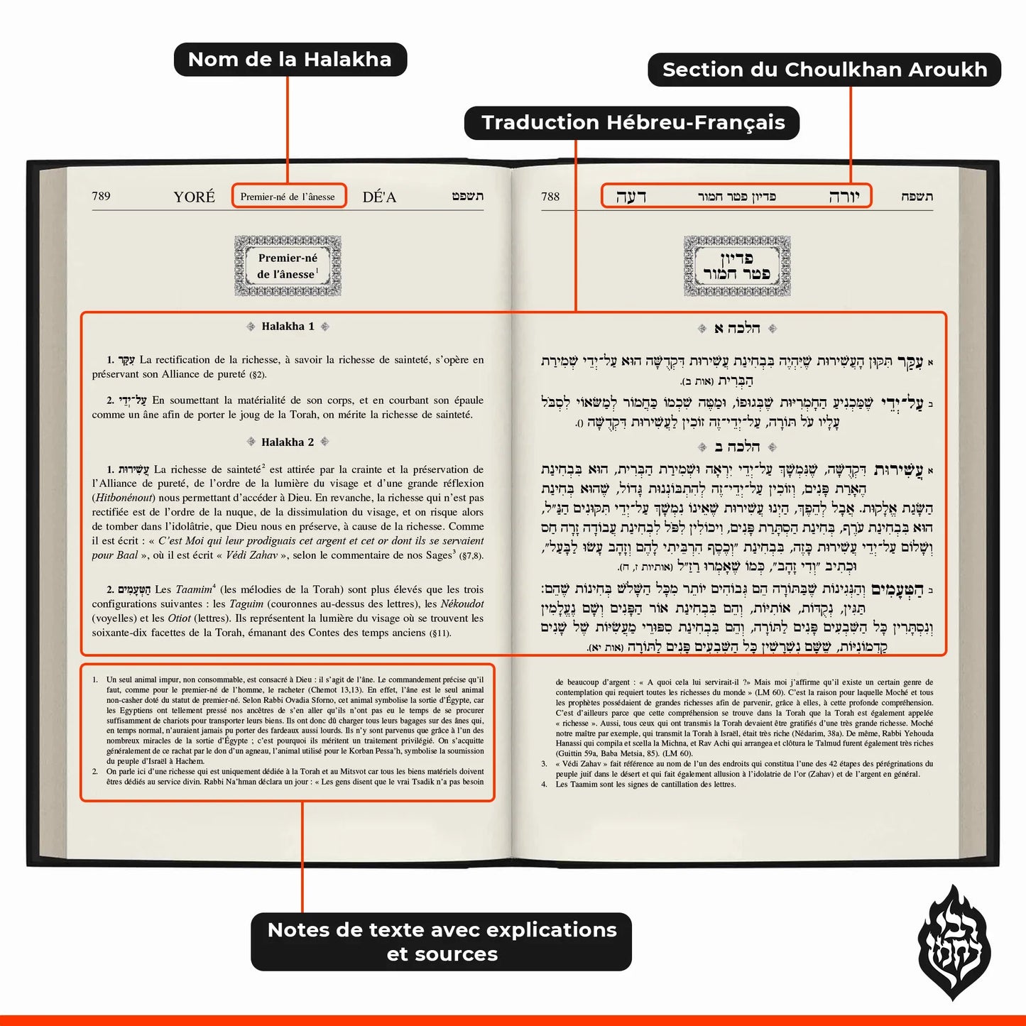 Page de Halakha bilingue hébreu-français sur le sujet du premier-né de l'ânesse avec notes explicatives