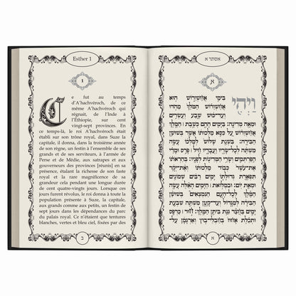 Pack Pourim / Pessah, Tikoun Aolam