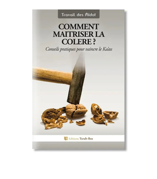 Couverture de livre montrant un marteau cassant une noix, titre Comment maîtriser la colère, conseils pratiques