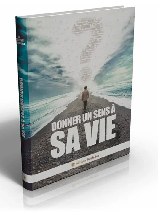 Livre "Donner un sens à sa vie" avec homme marchant vers un grand point d'interrogation dans le ciel au-dessus de la mer