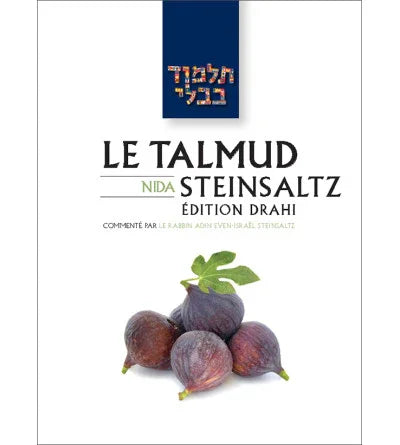 Nida - Le Talmud Steinsaltz T42 (couleur), éditions Biblieurope